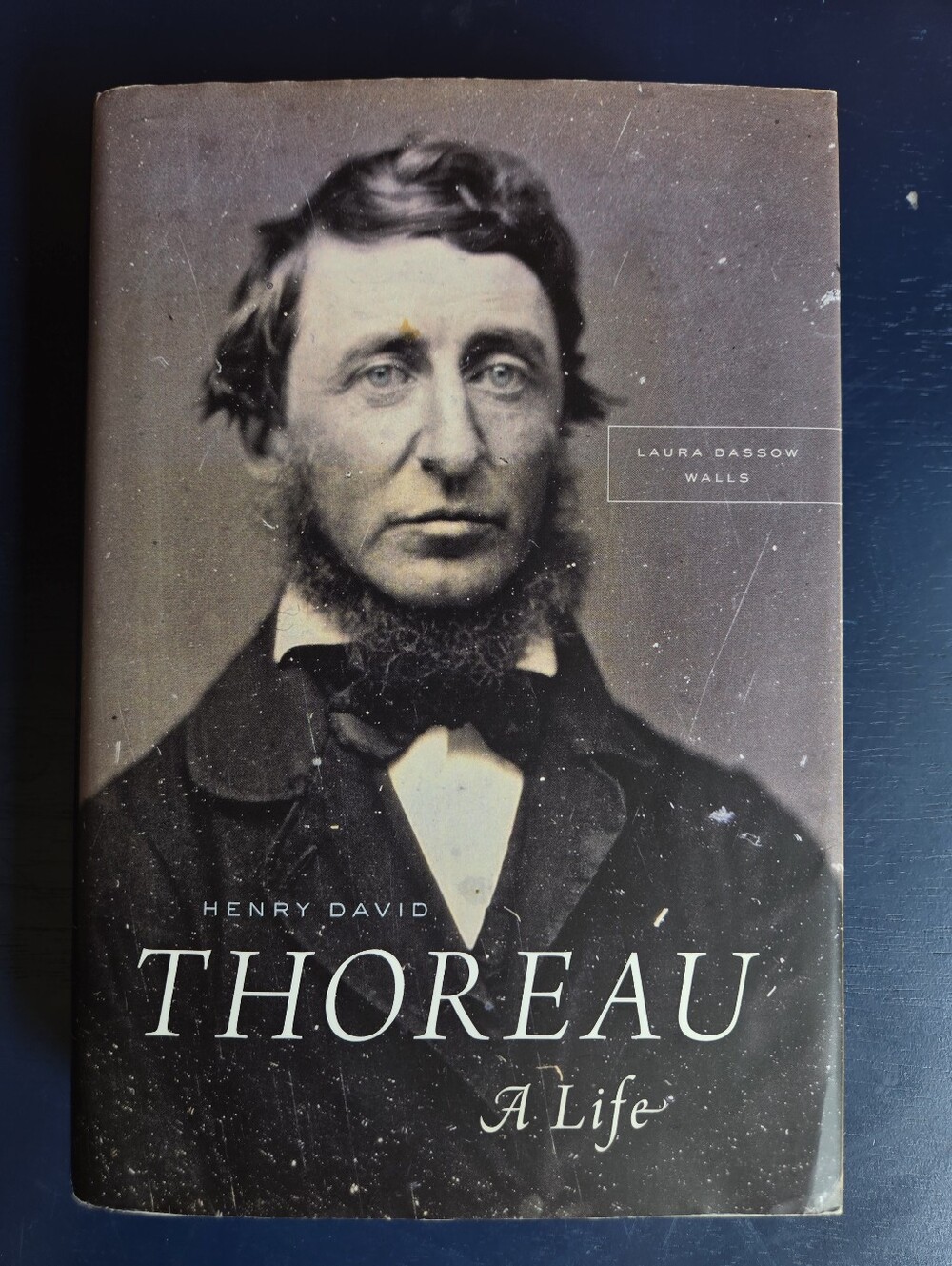 Henry David Thoreau A Novel By Laura Dassow Walls